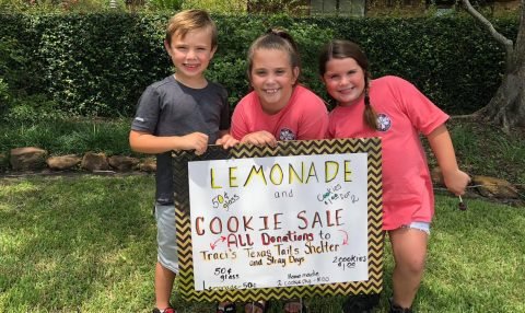 Second Annual Lemonade and Cookie Fundraiser for Traci's Texas Tails