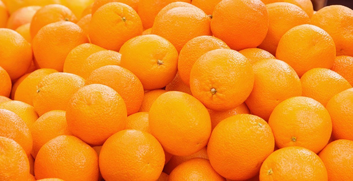 The Orange Grove: Get Your Oranges Here