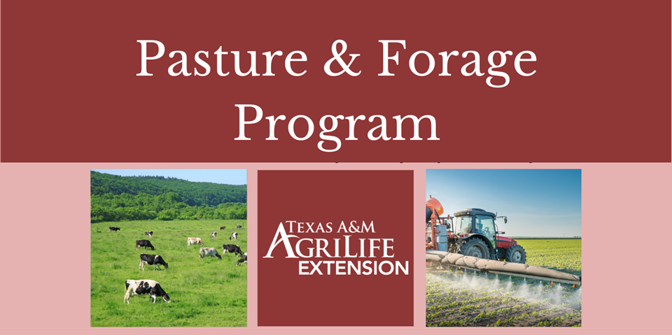 Pasture And Forage Program Offered By Texas A&M AgriLife Extension ...