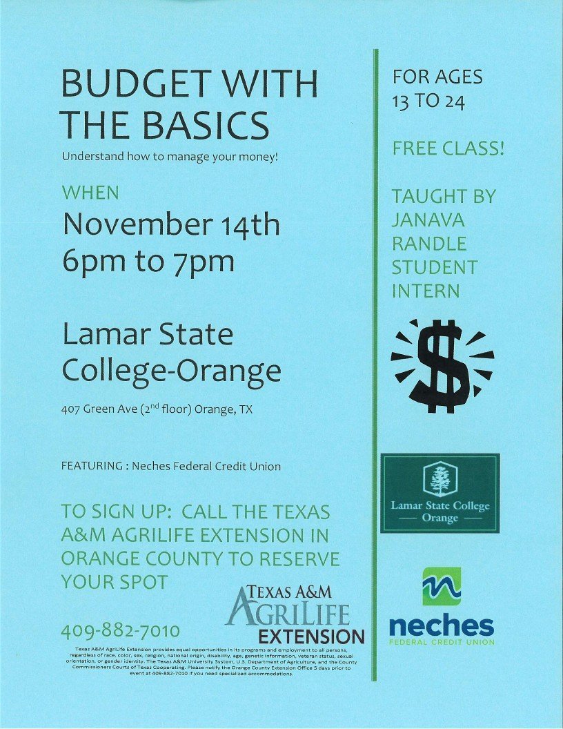 Budget with the Basics Planned for November 14 Orange Worthy